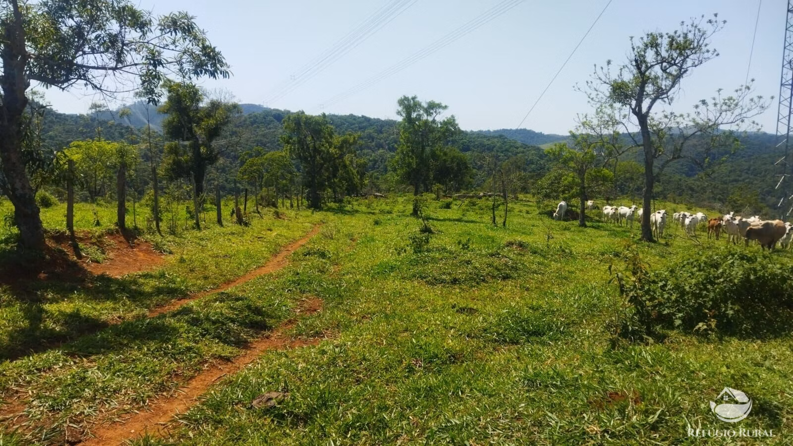 Small farm of 178 acres in São José dos Campos, SP, Brazil