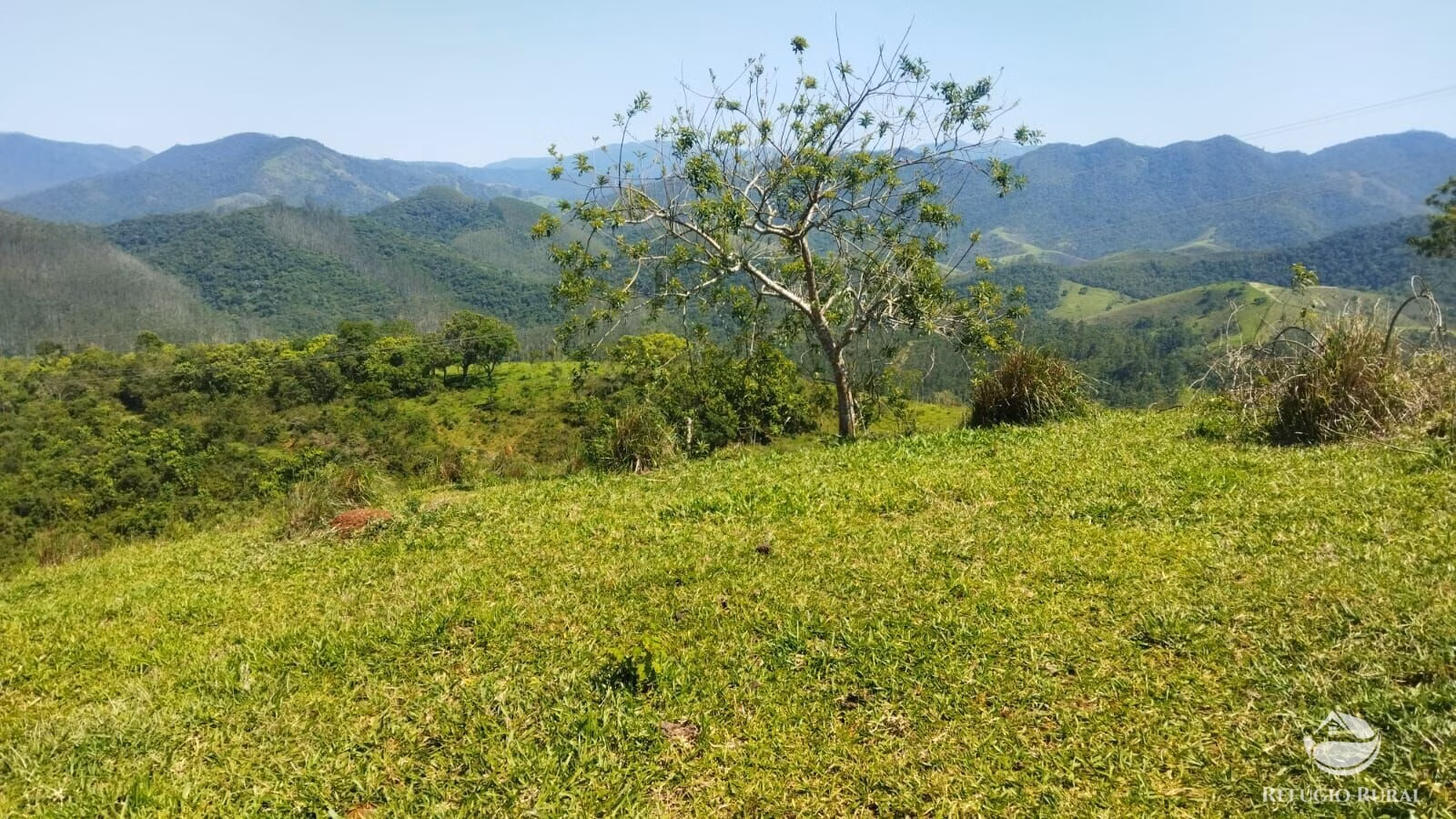 Small farm of 178 acres in São José dos Campos, SP, Brazil