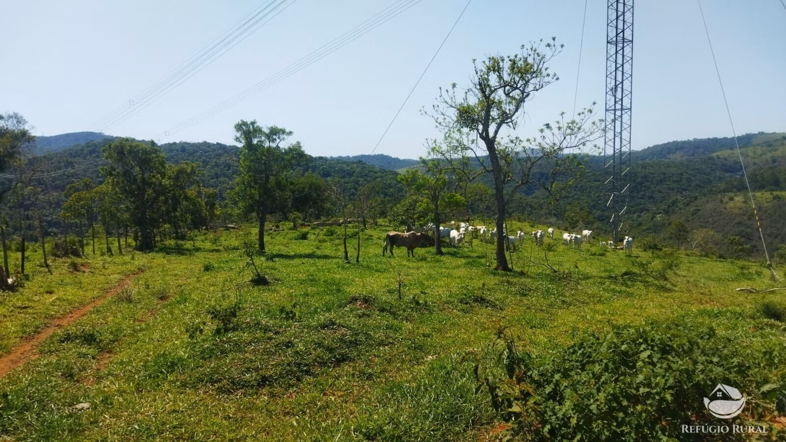Small farm of 178 acres in São José dos Campos, SP, Brazil