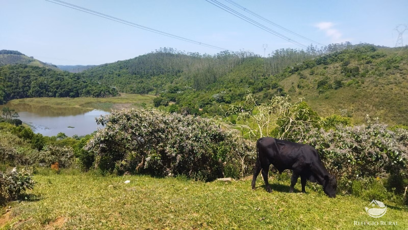 Small farm of 178 acres in São José dos Campos, SP, Brazil