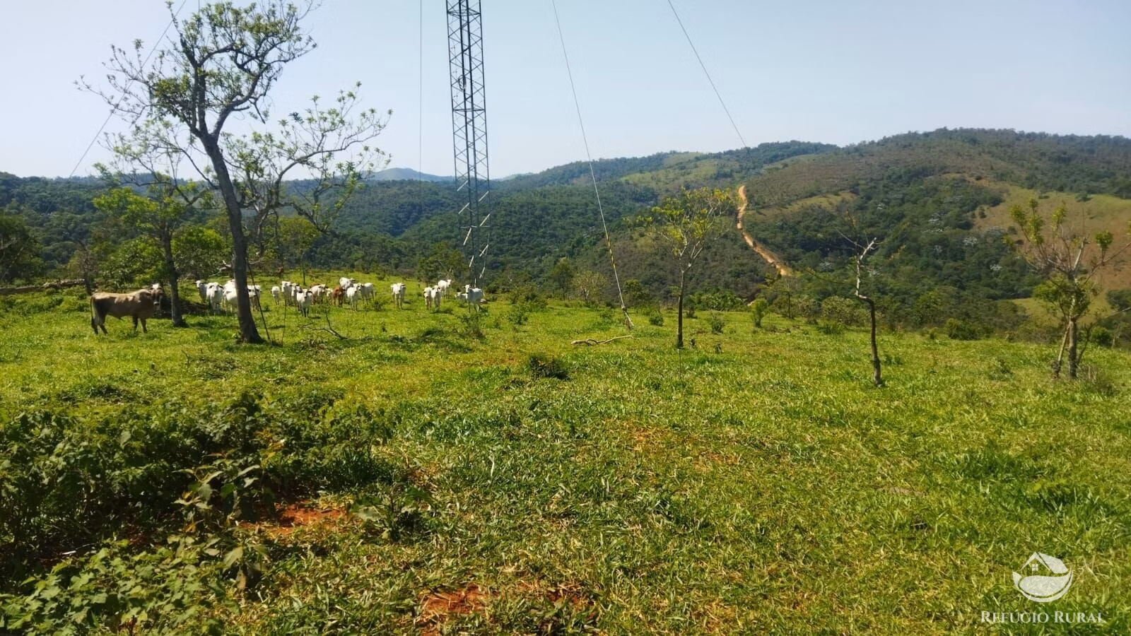Small farm of 178 acres in São José dos Campos, SP, Brazil