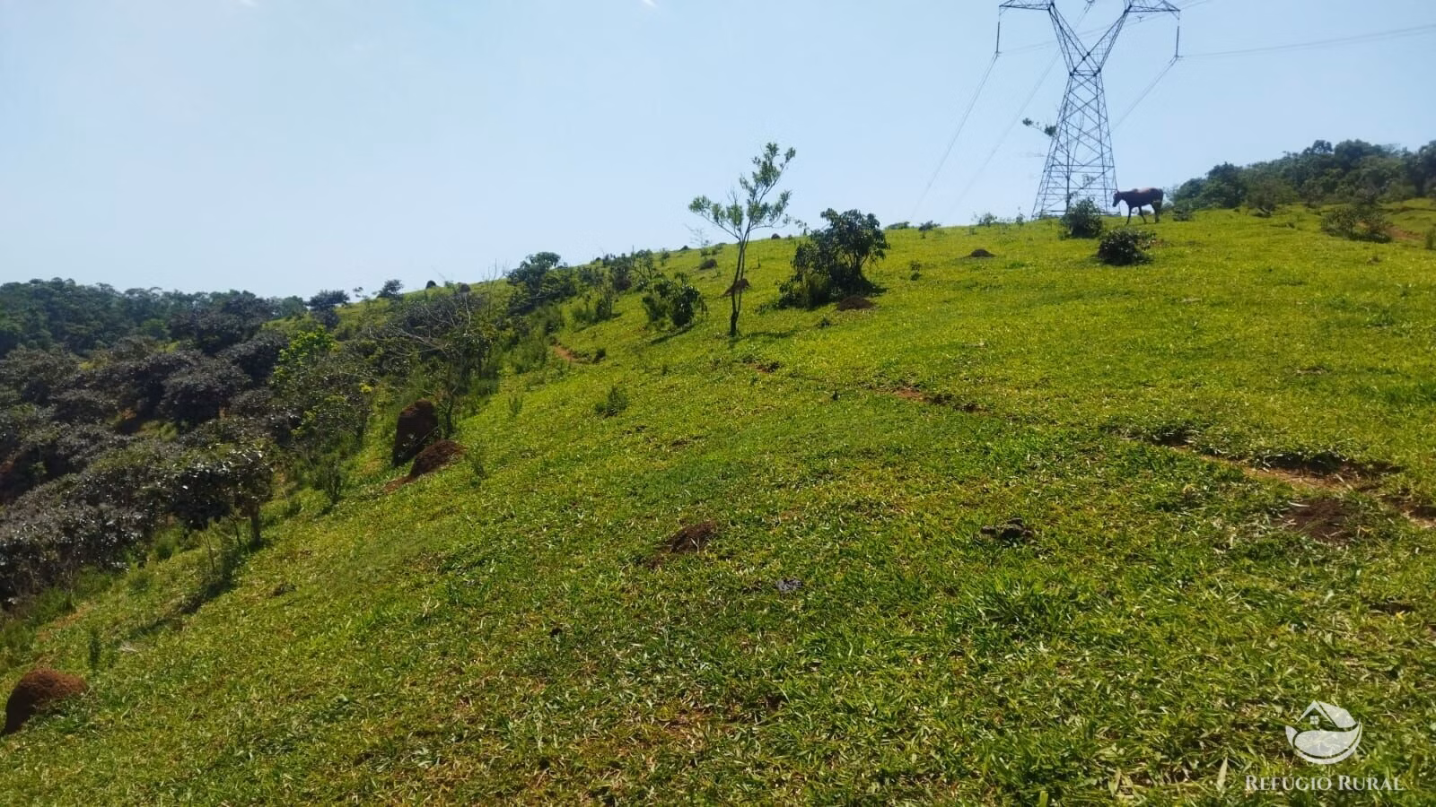 Small farm of 178 acres in São José dos Campos, SP, Brazil