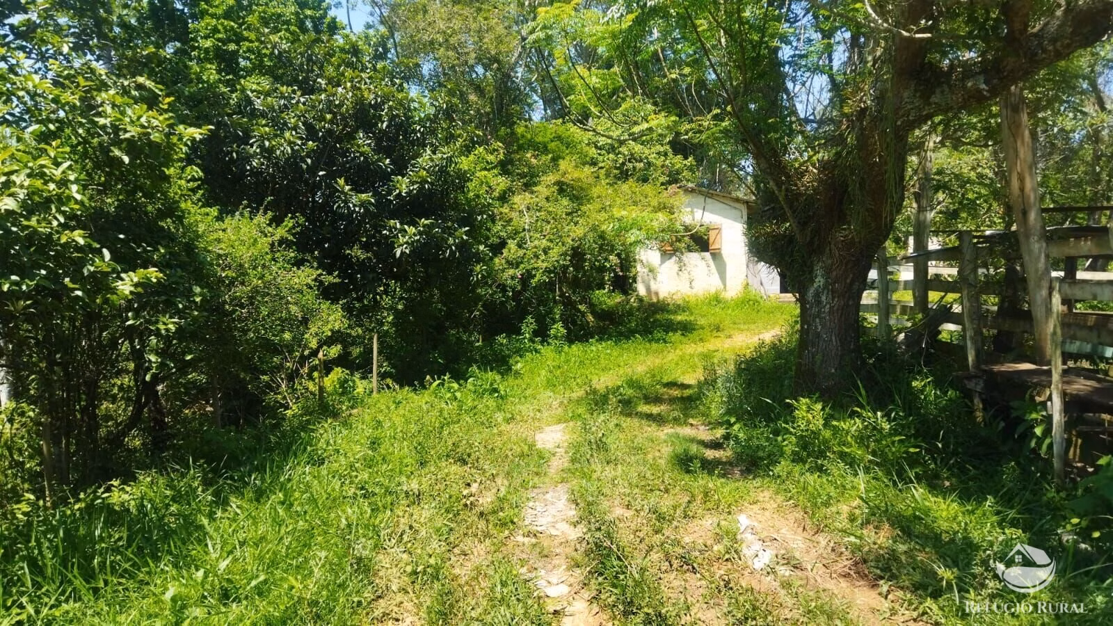 Small farm of 178 acres in São José dos Campos, SP, Brazil