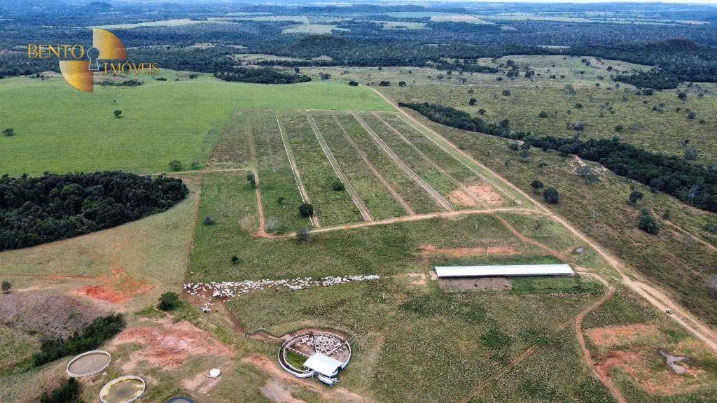 Fazenda de 1.160 ha em Primavera do Leste, MT