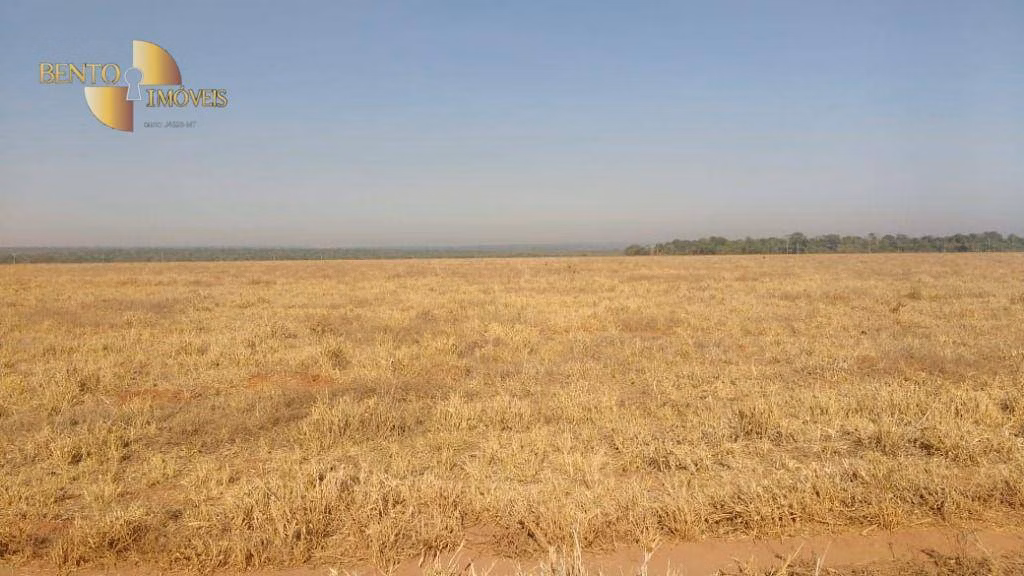 Farm of 22,239 acres in Paranatinga, MT, Brazil