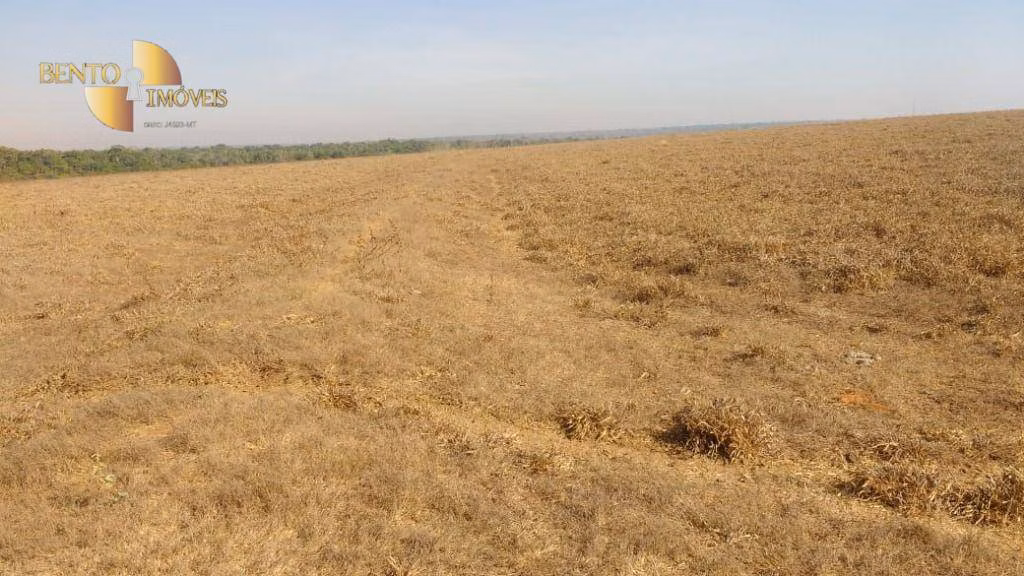 Farm of 22,239 acres in Paranatinga, MT, Brazil