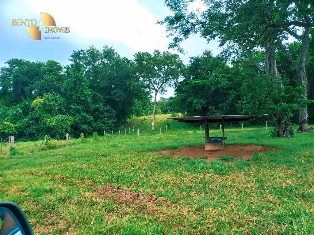 Fazenda de 303 ha em Pedra Preta, MT