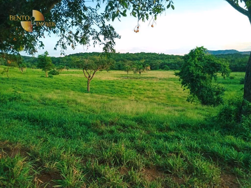 Fazenda de 303 ha em Pedra Preta, MT