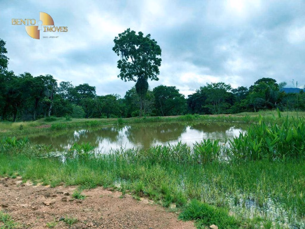 Fazenda de 303 ha em Pedra Preta, MT
