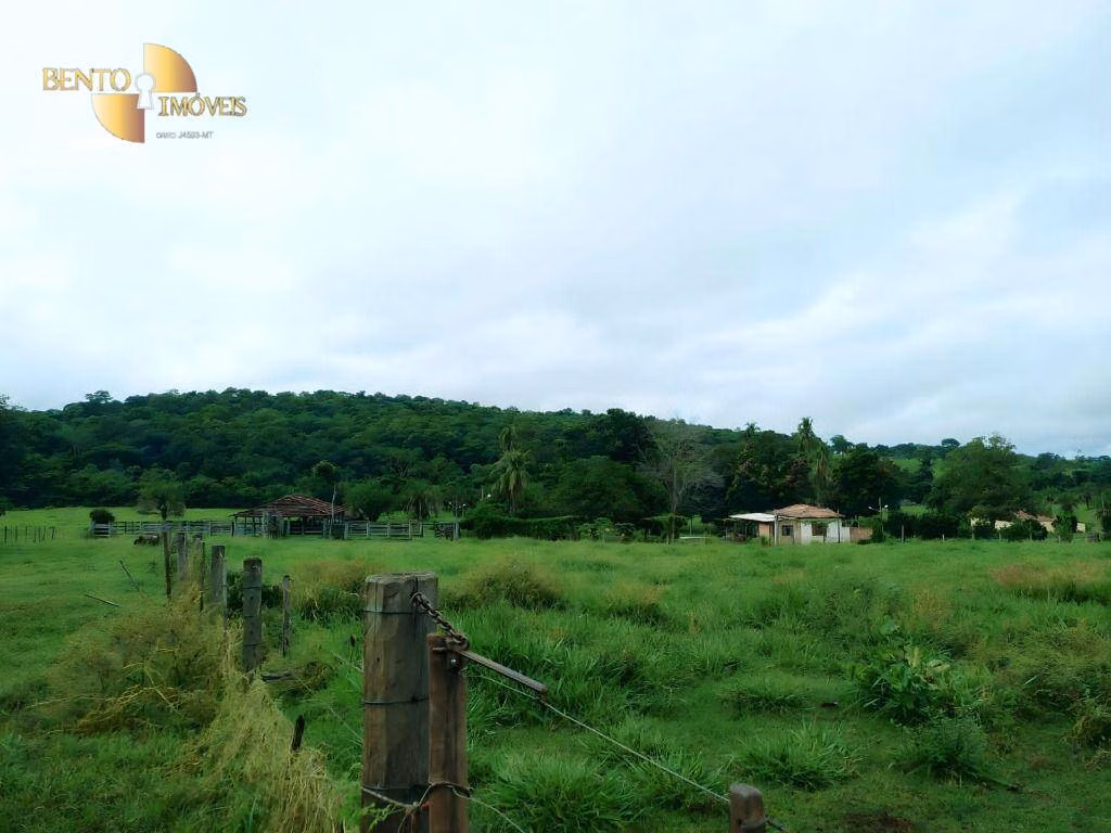 Fazenda de 303 ha em Pedra Preta, MT