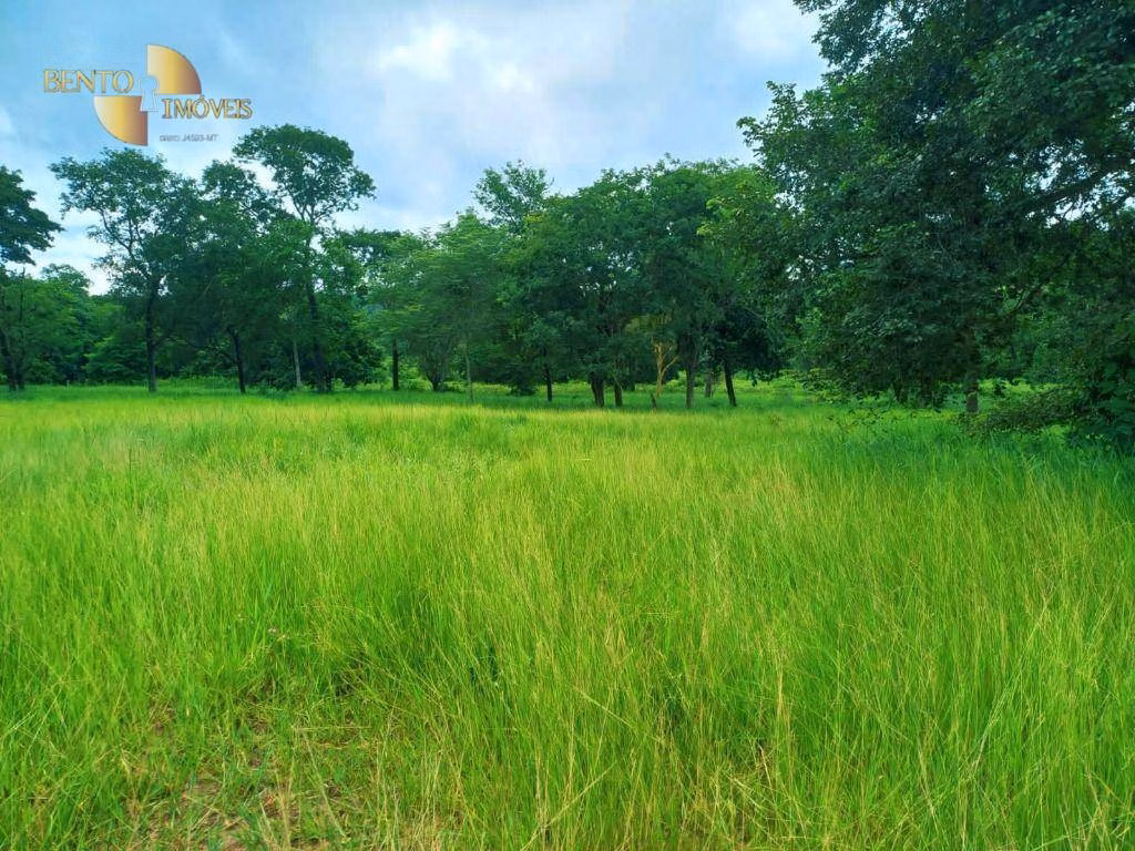 Fazenda de 303 ha em Pedra Preta, MT