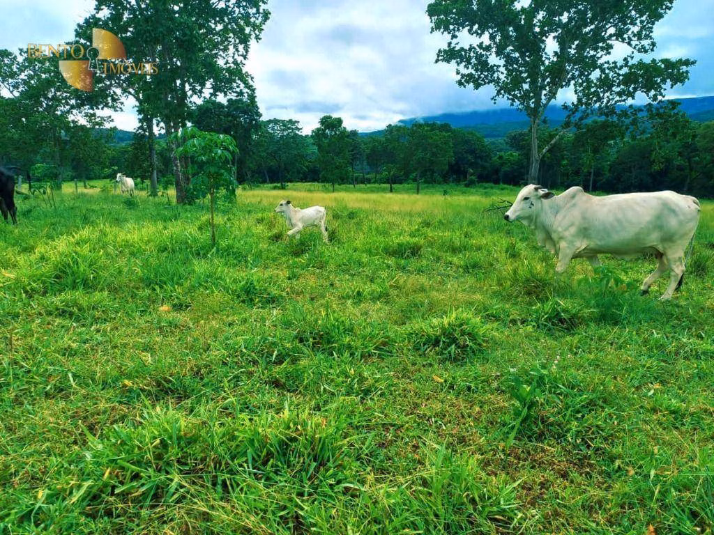 Fazenda de 303 ha em Pedra Preta, MT