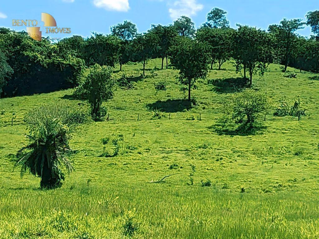 Fazenda de 303 ha em Pedra Preta, MT
