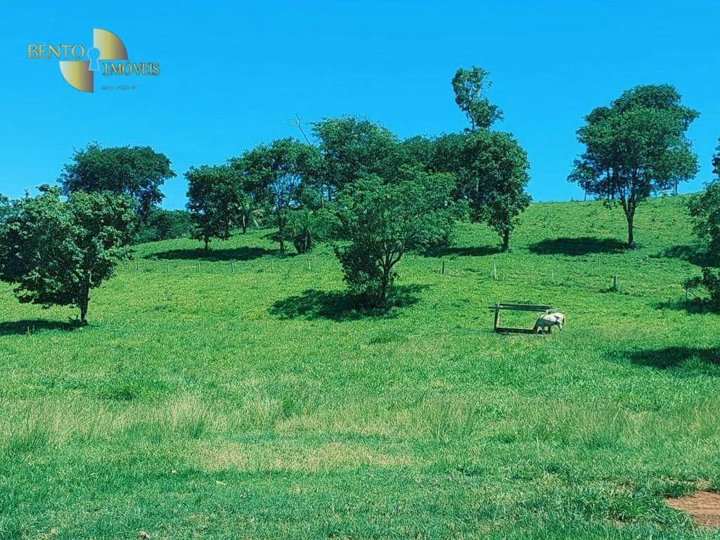 Fazenda de 303 ha em Pedra Preta, MT
