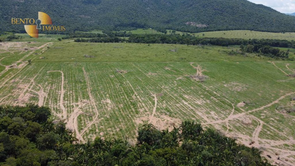 Fazenda de 250 ha em Santo Antônio de Leverger, MT