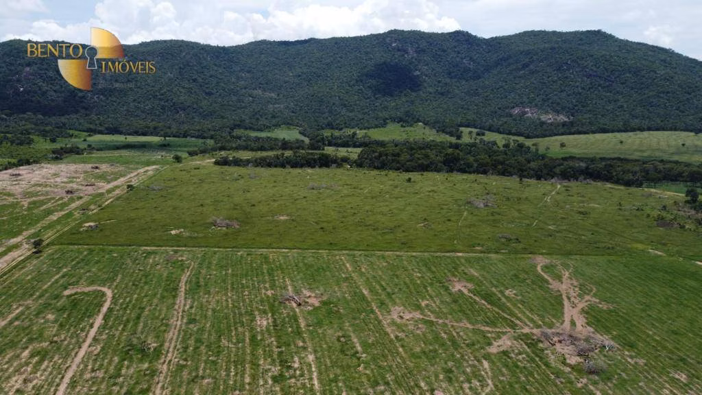 Fazenda de 250 ha em Santo Antônio de Leverger, MT