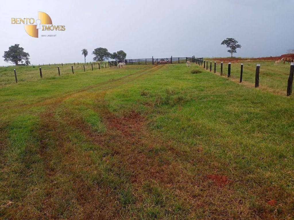 Fazenda de 189 ha em Rondonópolis, MT