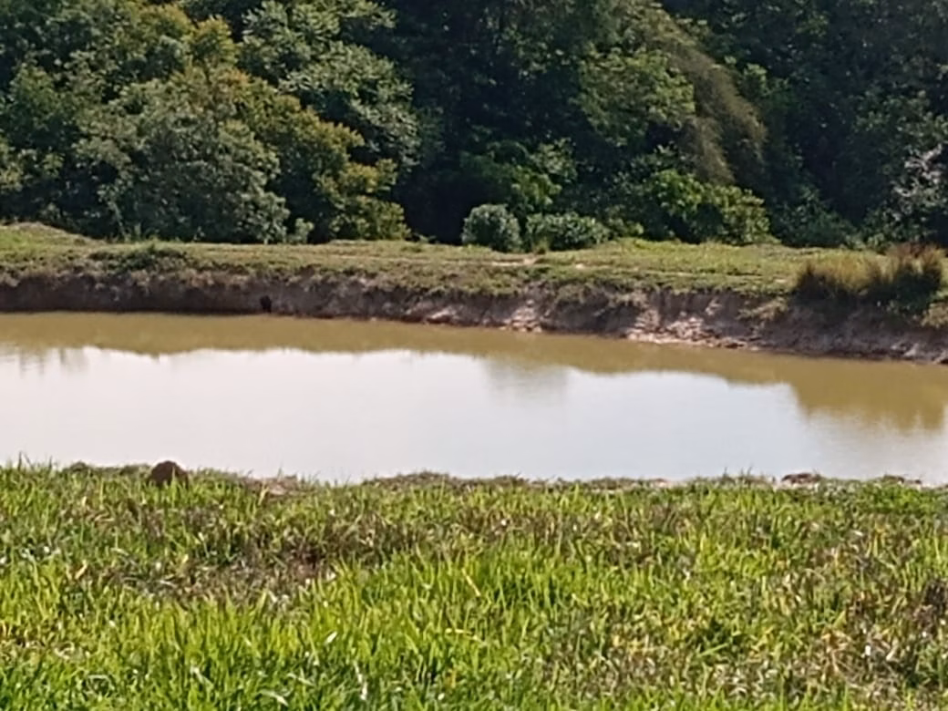 Small farm of 32 acres in Itapetininga, SP, Brazil
