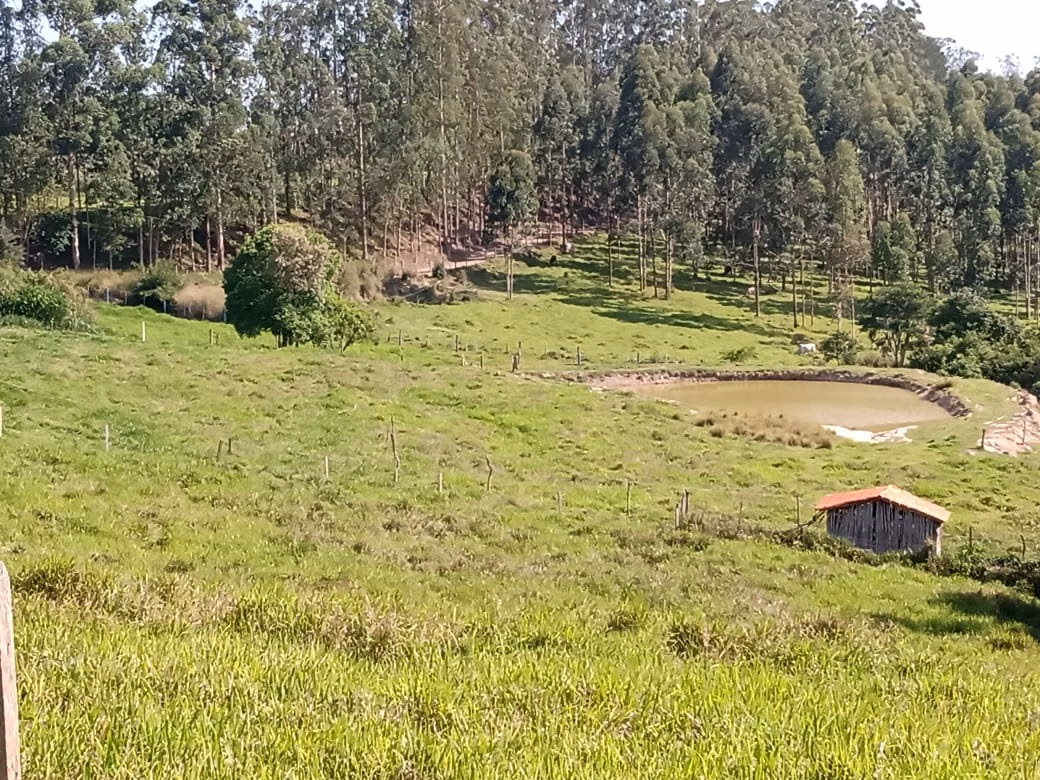 Small farm of 32 acres in Itapetininga, SP, Brazil