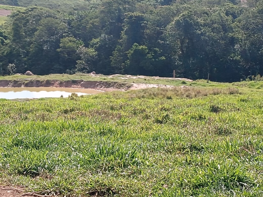 Small farm of 32 acres in Itapetininga, SP, Brazil