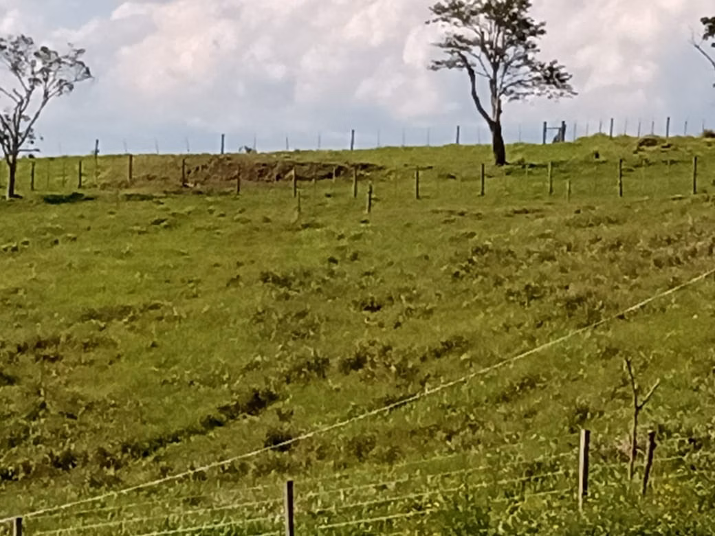 Small farm of 32 acres in Itapetininga, SP, Brazil