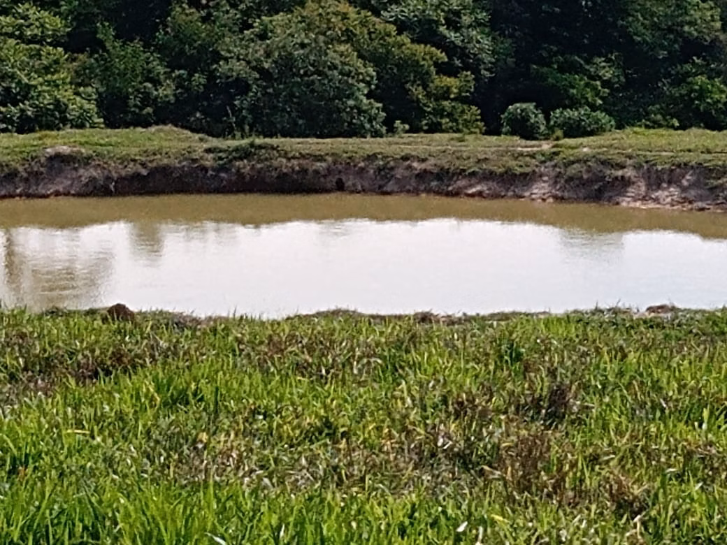 Small farm of 32 acres in Itapetininga, SP, Brazil