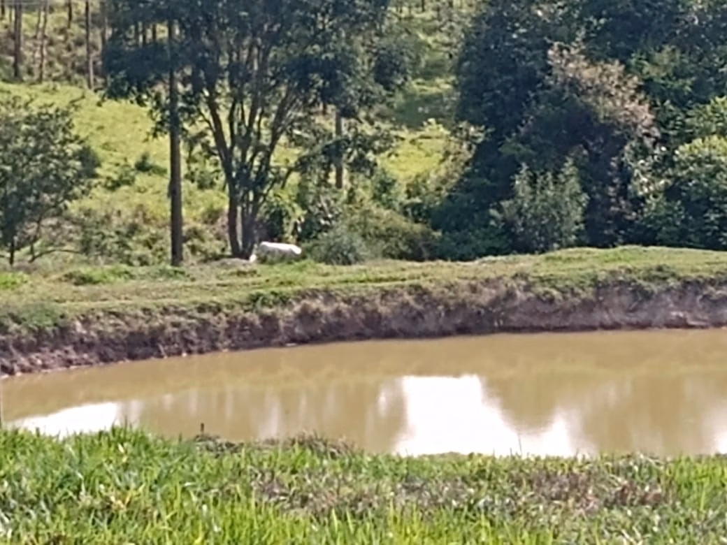 Small farm of 32 acres in Itapetininga, SP, Brazil