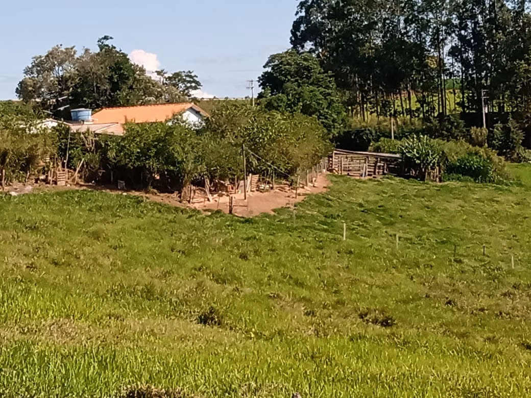 Small farm of 32 acres in Itapetininga, SP, Brazil
