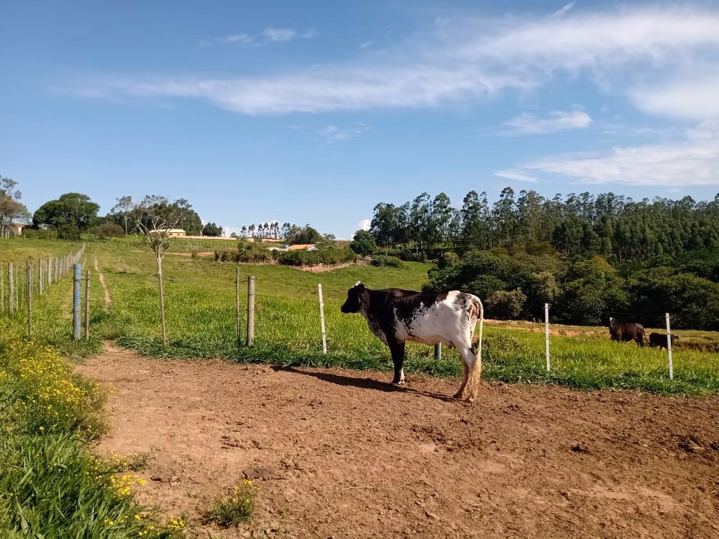 Small farm of 32 acres in Itapetininga, SP, Brazil