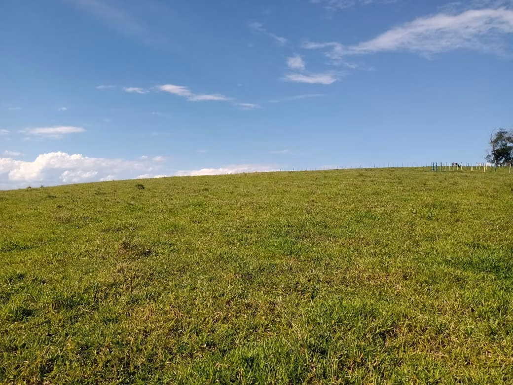 Small farm of 32 acres in Itapetininga, SP, Brazil
