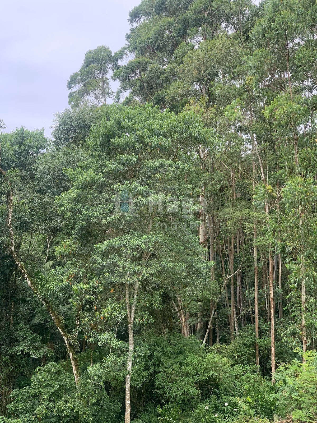 Farm of 3,300 m² in Águas Mornas, SC, Brazil
