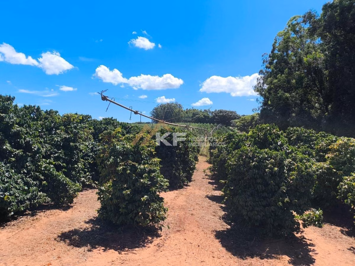 Fazenda à venda de 179 ha em São José do Rio Preto, SP
