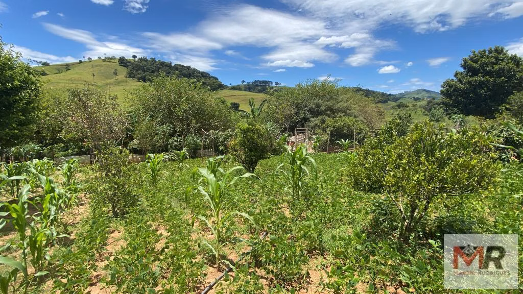 Country home of 3,000 m² in Cambuí, MG, Brazil