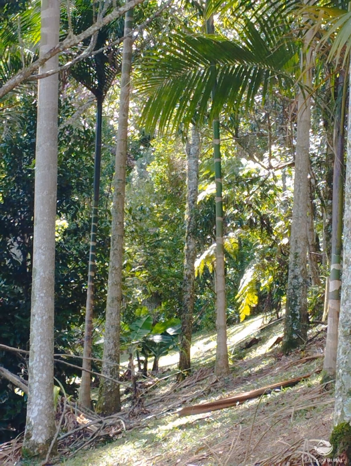 Sítio de 2 ha em São José dos Campos, SP