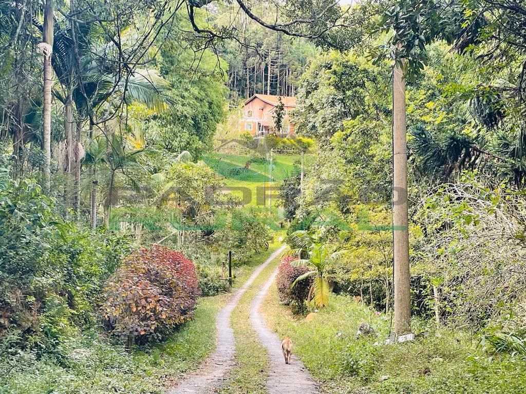 Small farm of 30 acres in Ibiúna, SP, Brazil