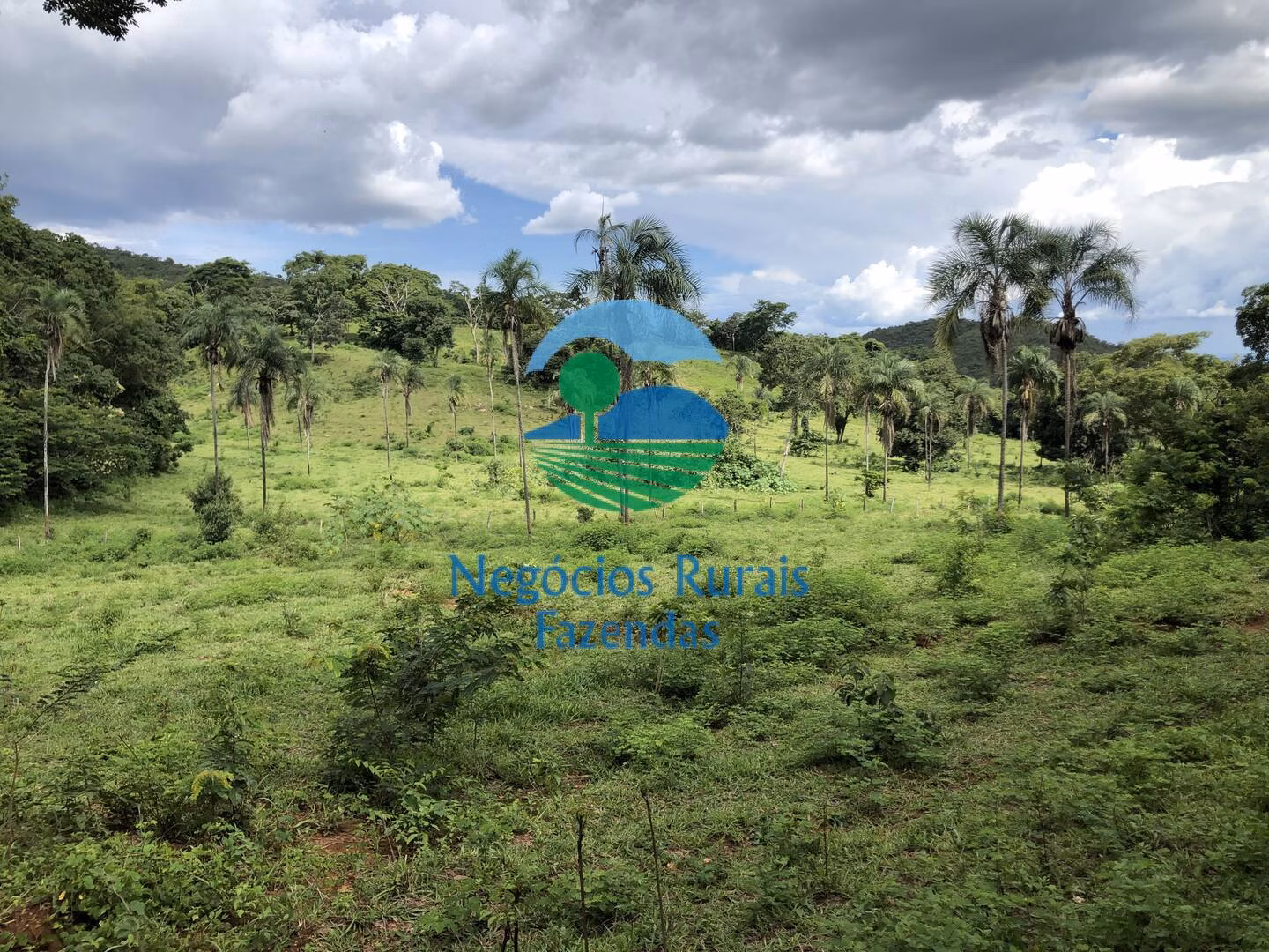 Fazenda de 484 ha em Campinaçu, GO