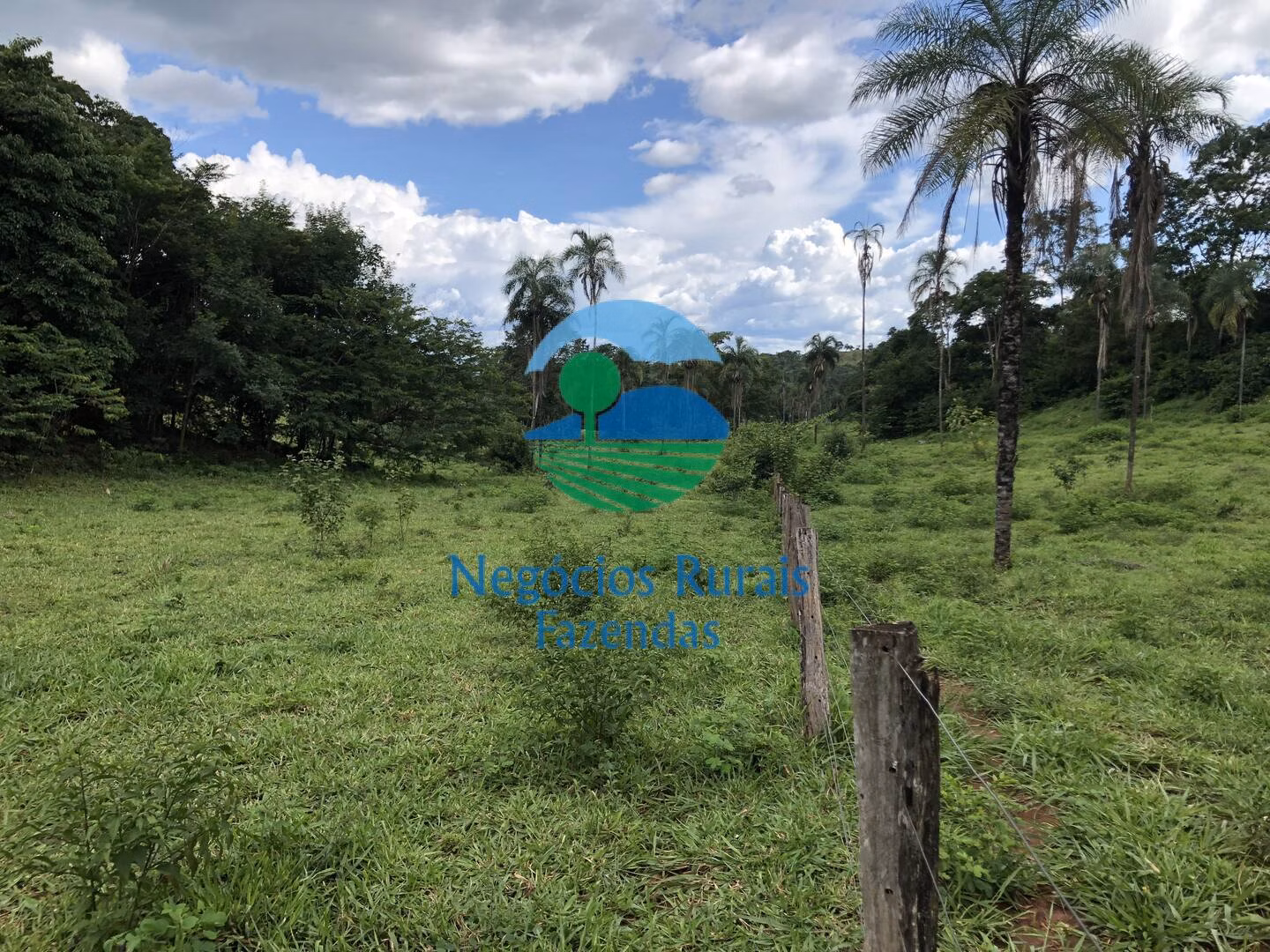 Fazenda de 484 ha em Campinaçu, GO