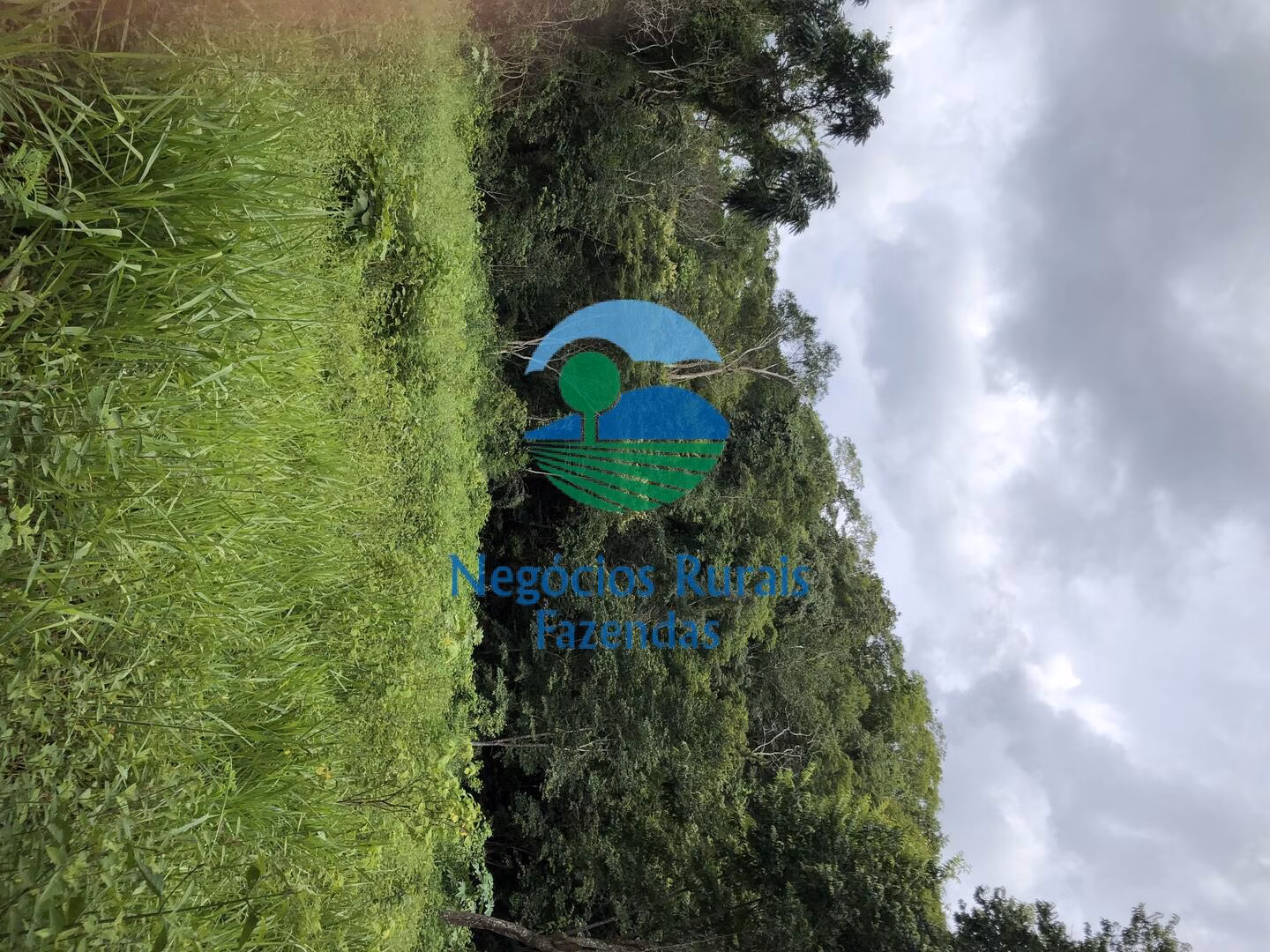 Fazenda de 484 ha em Campinaçu, GO