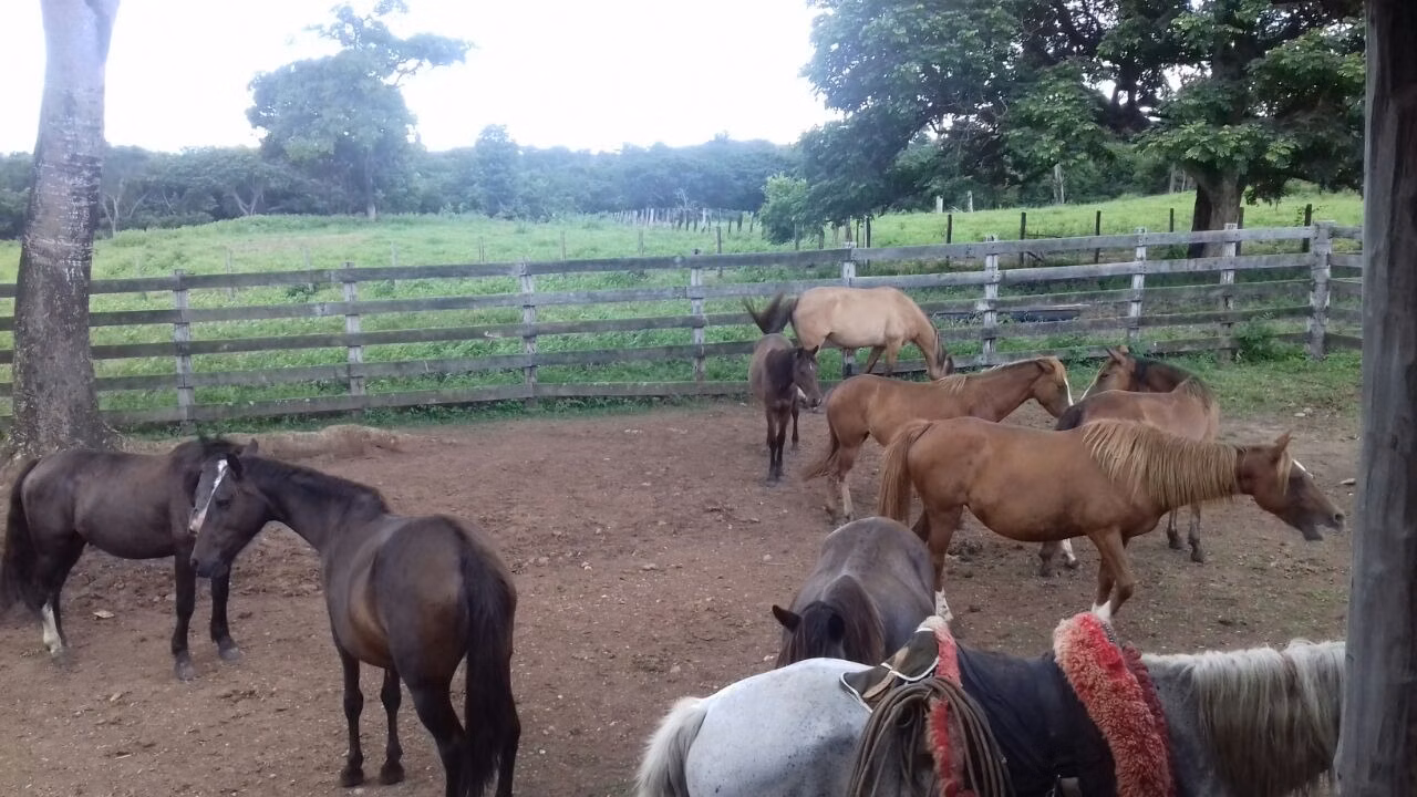 Fazenda de 1.952 ha em Poconé, MT
