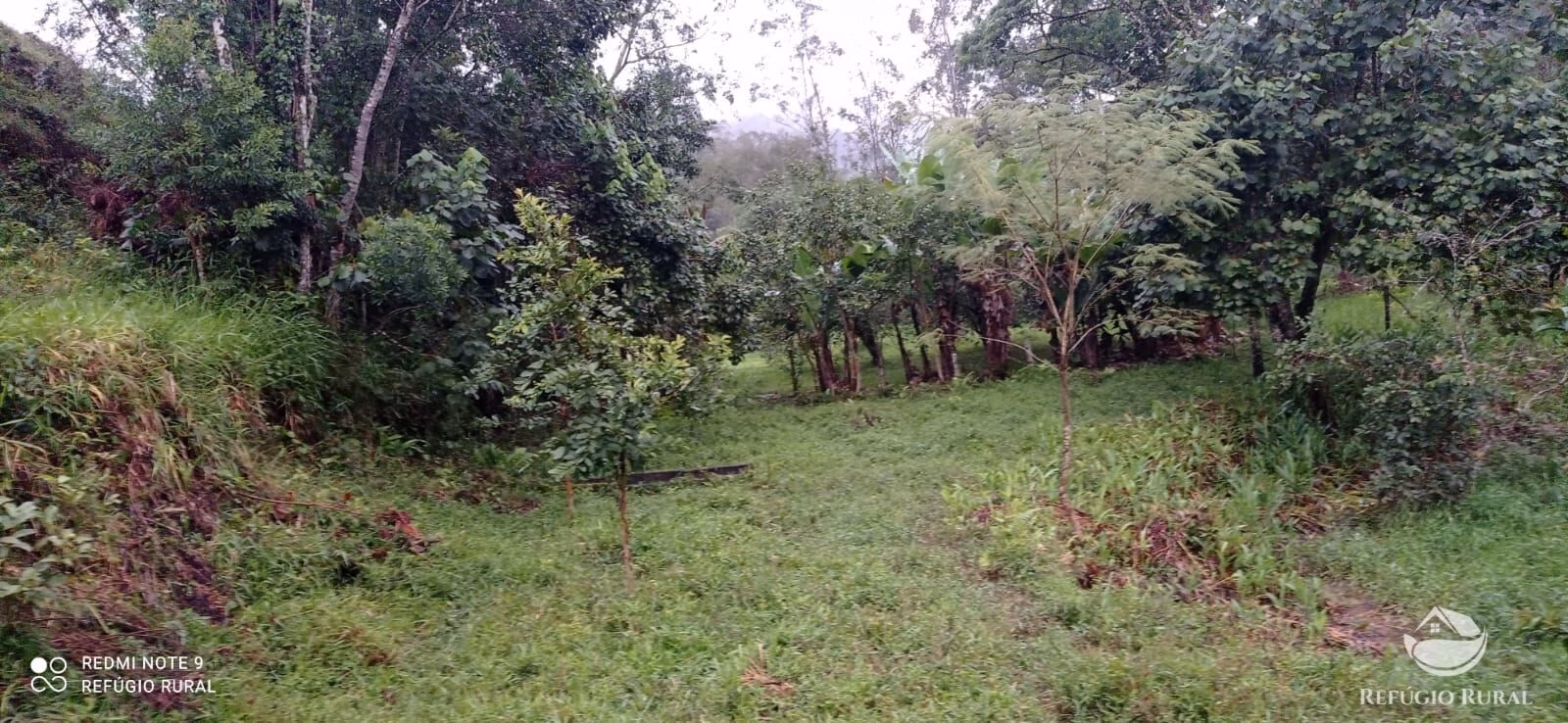 Sítio de 4 ha em São José dos Campos, SP