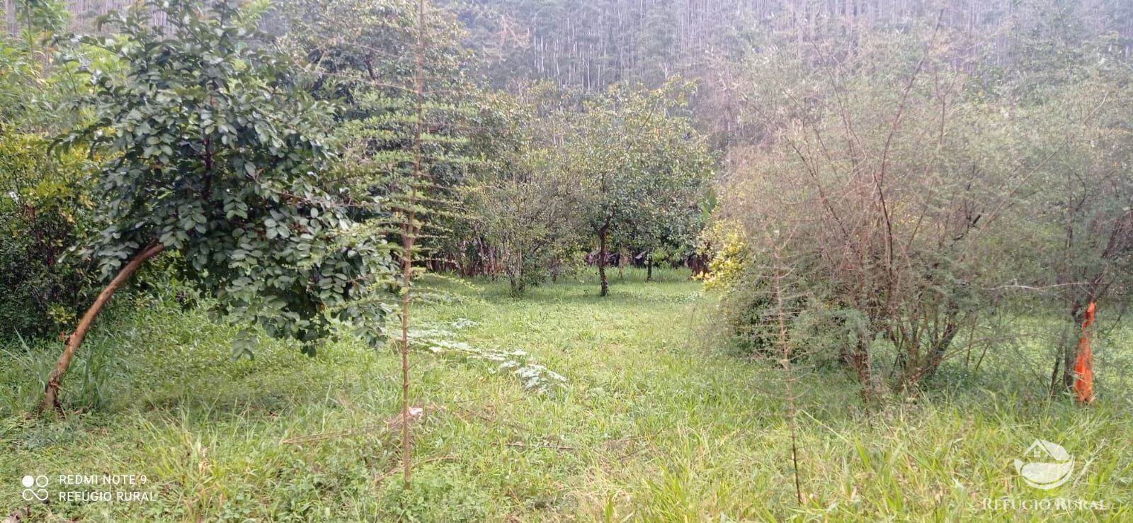 Sítio de 4 ha em São José dos Campos, SP