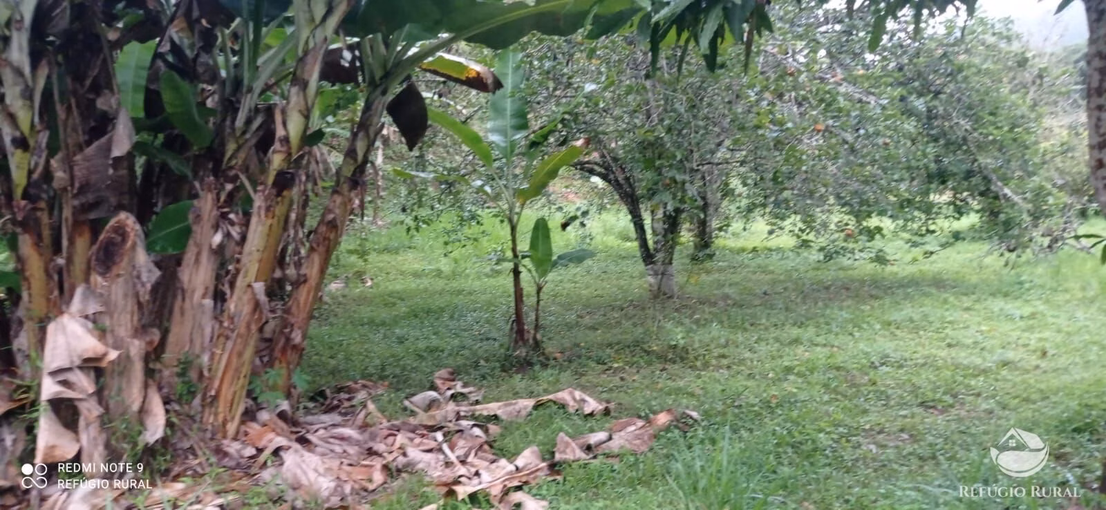 Sítio de 4 ha em São José dos Campos, SP