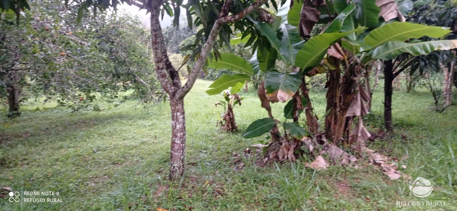 Sítio de 4 ha em São José dos Campos, SP