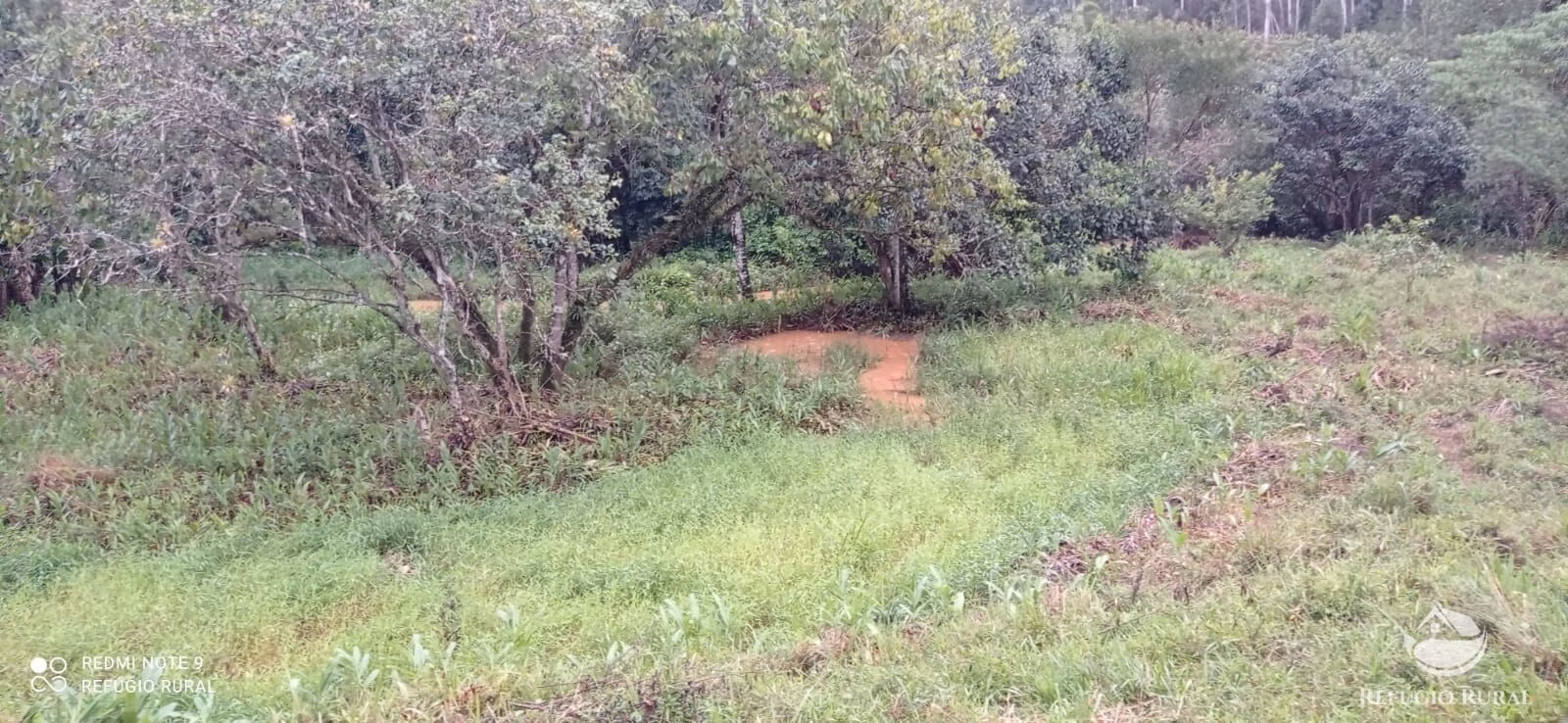 Sítio de 4 ha em São José dos Campos, SP