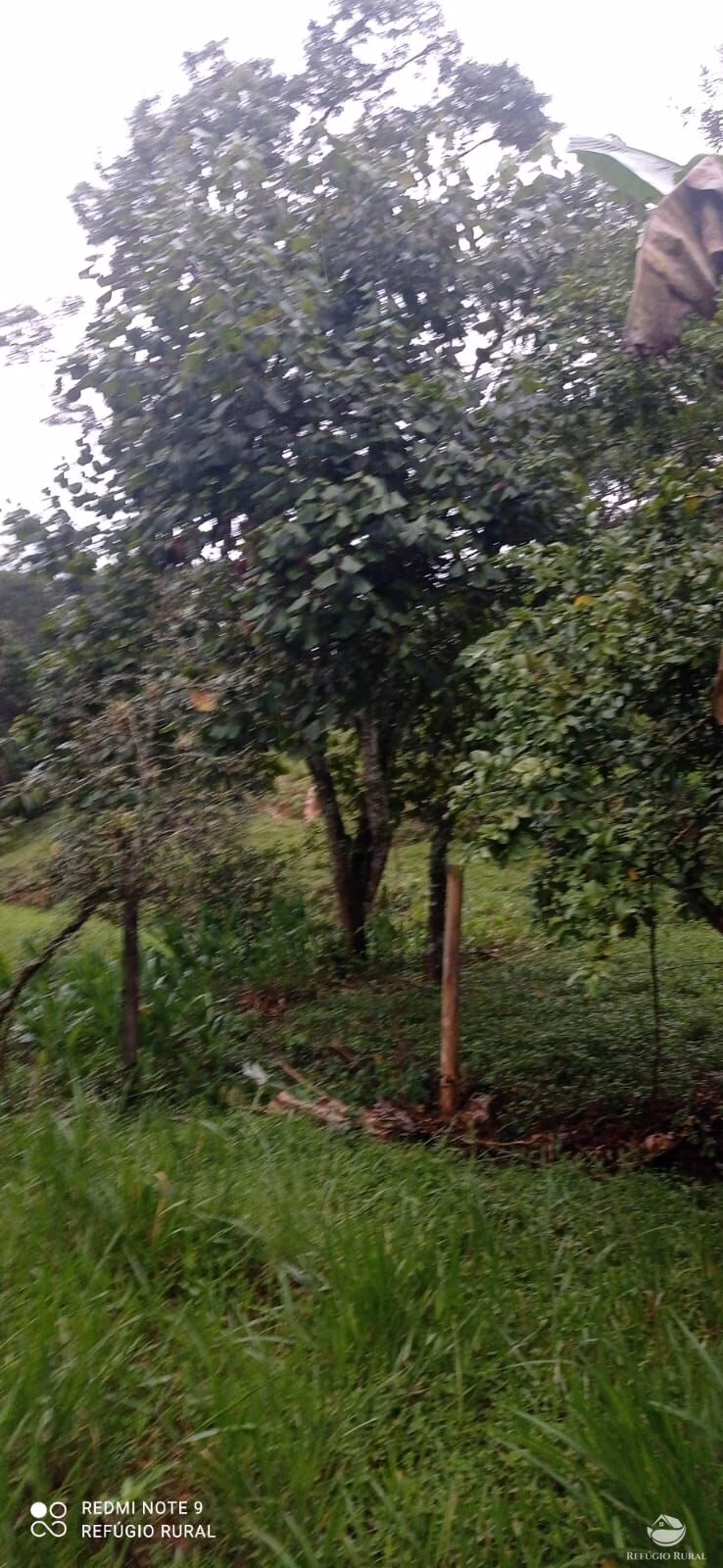 Sítio de 4 ha em São José dos Campos, SP