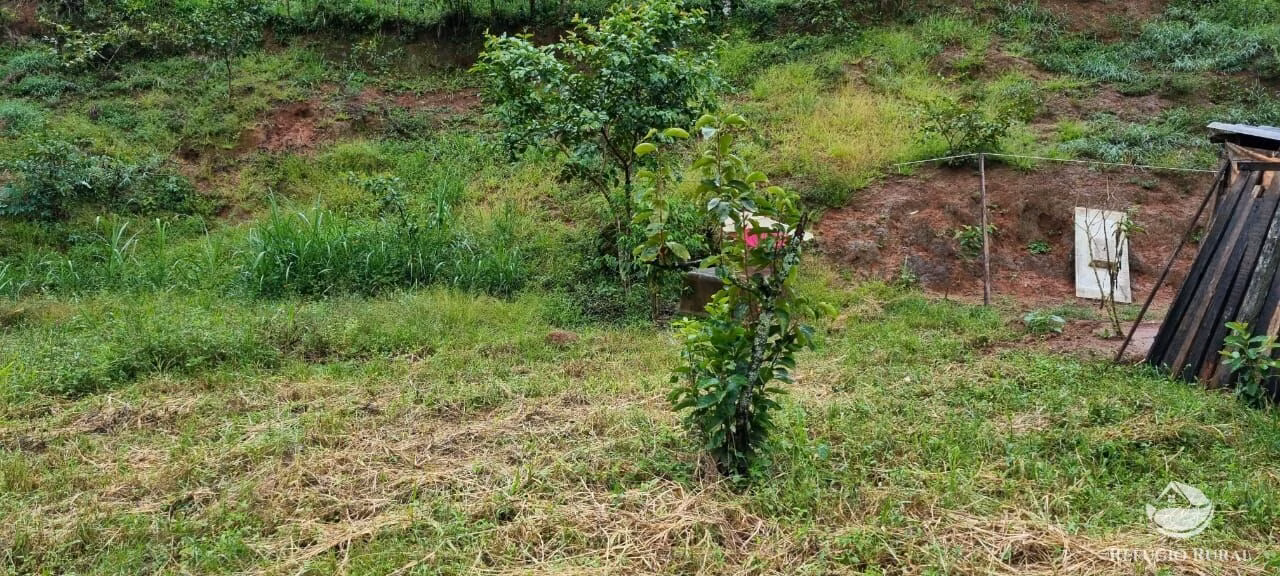 Sítio de 4 ha em São José dos Campos, SP