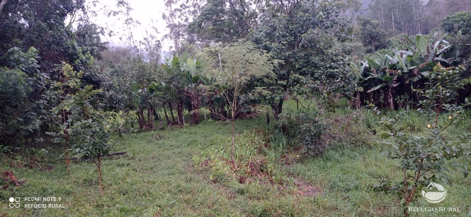 Sítio de 4 ha em São José dos Campos, SP