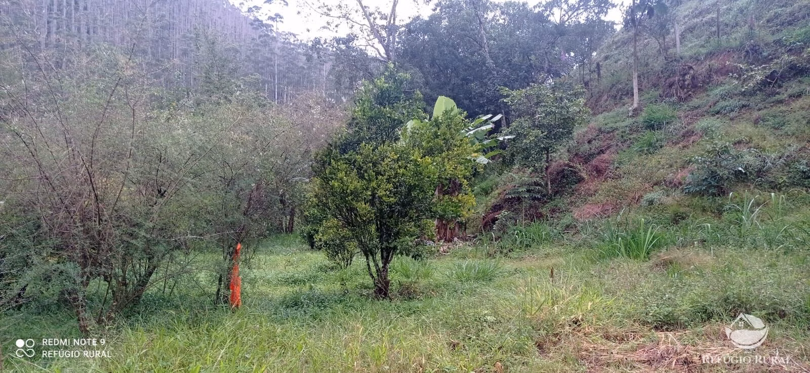 Sítio de 4 ha em São José dos Campos, SP