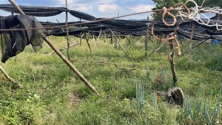 Fazenda de 101 ha em Parobé, RS