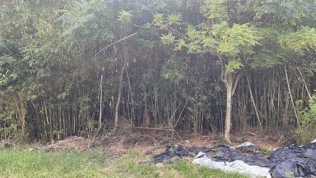 Fazenda de 101 ha em Parobé, RS
